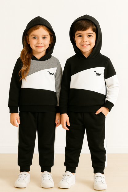 Black Panel Dinosaur Printed Kids Winter Suit (Each)