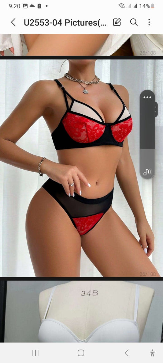 Lace Envy Bra Set
