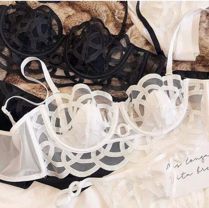 Net See Through Transparent Bra Set