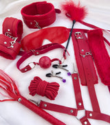 Fifty Shades Of Grey Fun Kit 2